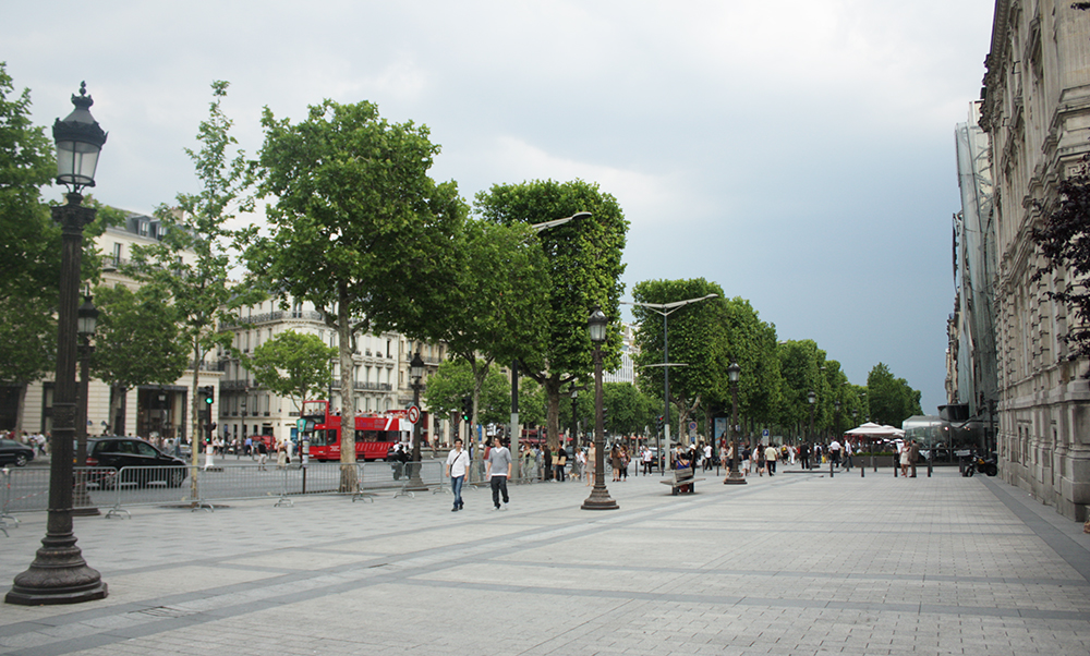 노동 시장의 불평등과 민주주의의 역할