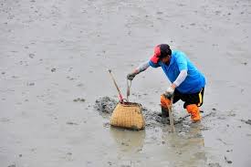 신안군 제 9회 섬낙지 축제 기본일정 및 프로그램 소개