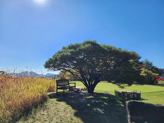 홍천 '세이지우드 컨트리클럽' 골프장 소개 및 예약방법