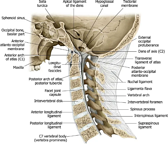 목디스크의 정의와 원인