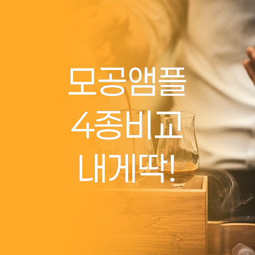 모공 앰플 4종 낱낱이 비교하고 내 ..