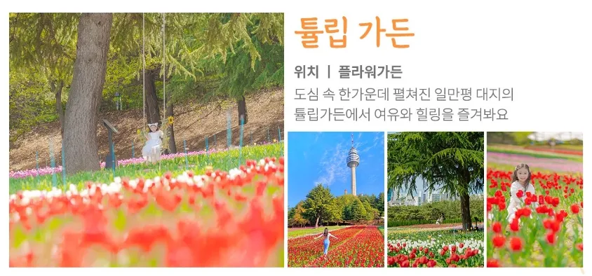 이월드 - 튤립가든