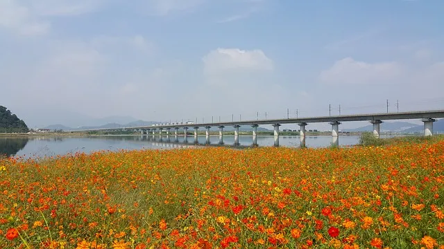 ktx 예매 방법 취소 수수료 열차표 예매_9