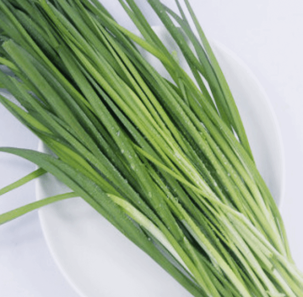 깨끗하게-씻겨진-부추