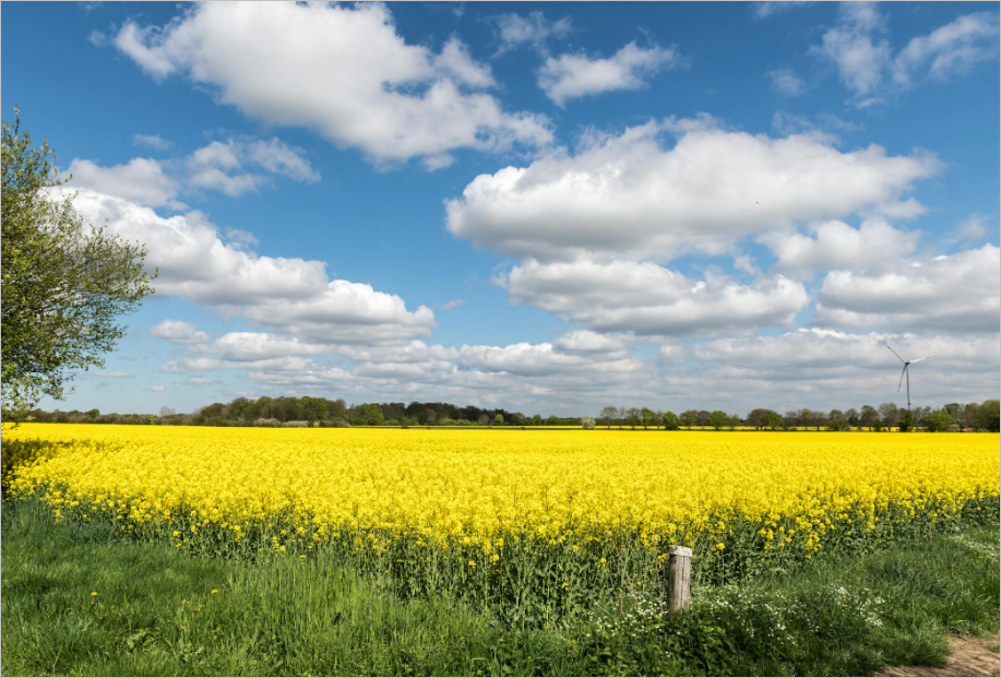 상생페이백 사용처 및 신청방법 총정리 - 5분만에 신청하고 혜택 바로가기