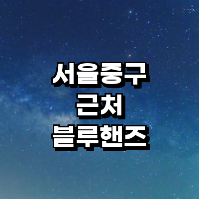 서울 중구 블루핸즈