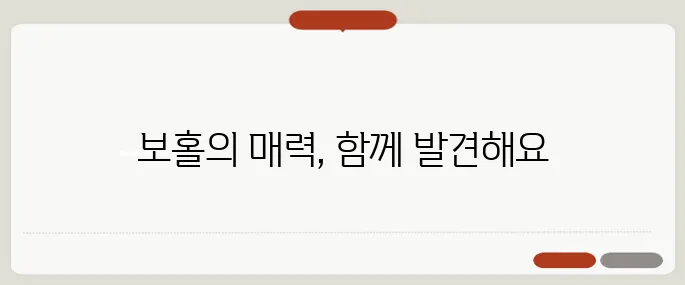 보홀 자유여행 꿀팁 액티비티와 휴양 한 번에 즐기기
