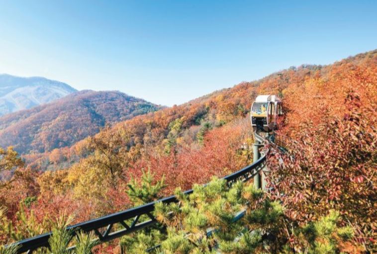 2025년부터 화담숲 예약하기