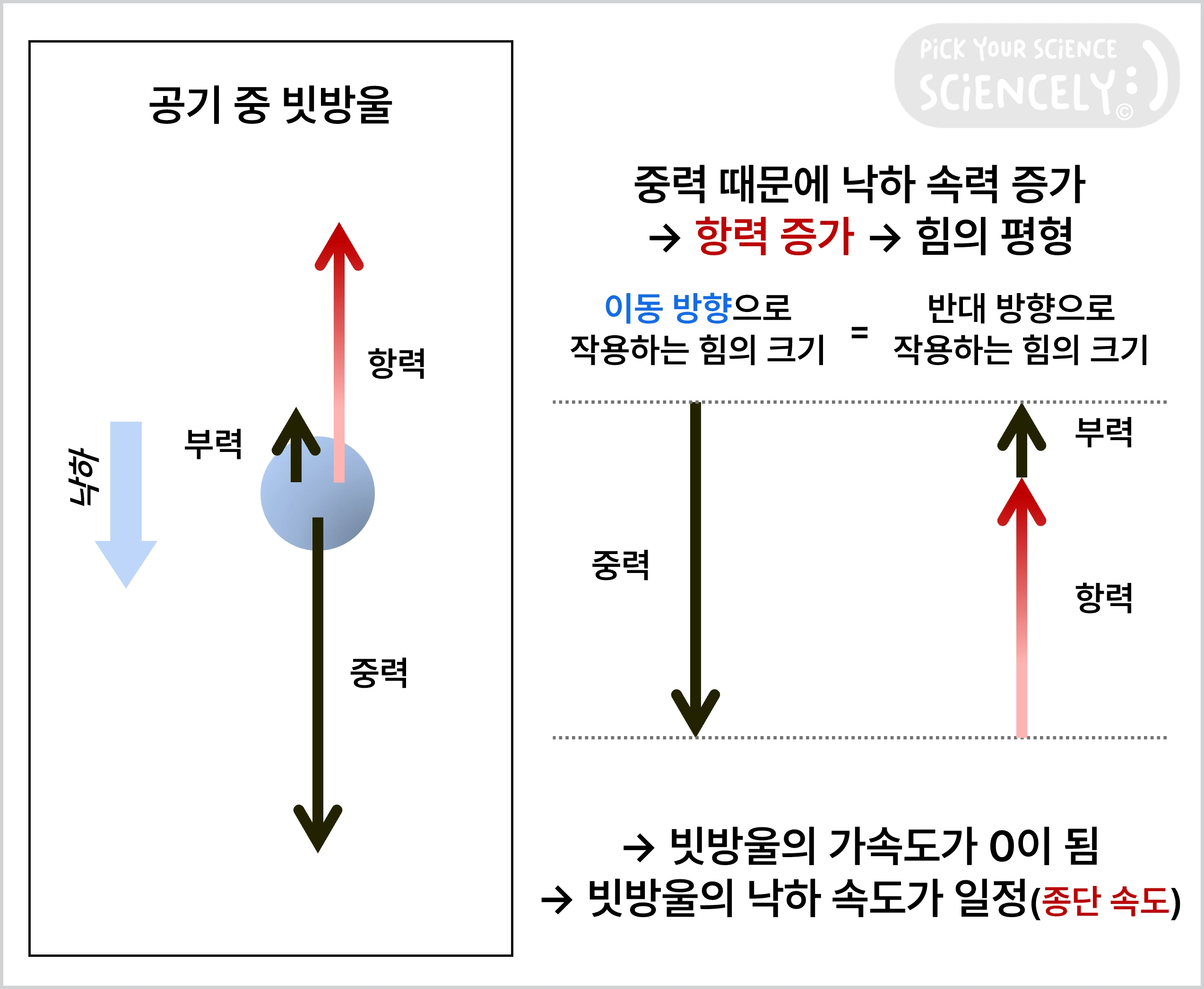 공기 중의 빗방울, 중력 때문에 낙하 속력이 증가함, 항력이 증가함, 힘의 평형, 중력, 부력, 항력, 이동 방향으로 작용하는 힘의 크기와 반대 방향으로 작용하는 힘의 크기가 같음, 빗방울의 가속도가 0이 됨, 빗방울의 낙하 속도가 일정함, 종단 속도