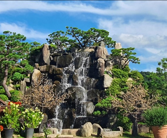 포천 허브 아일랜드