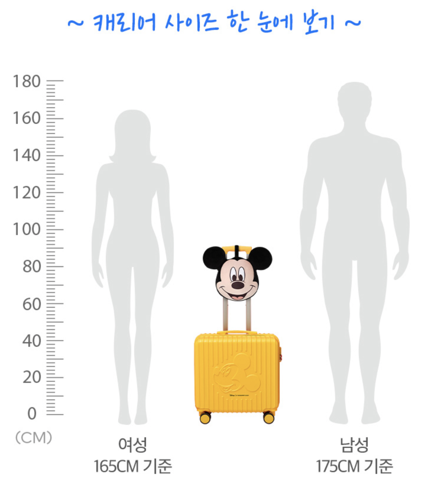 디즈니 캐리어