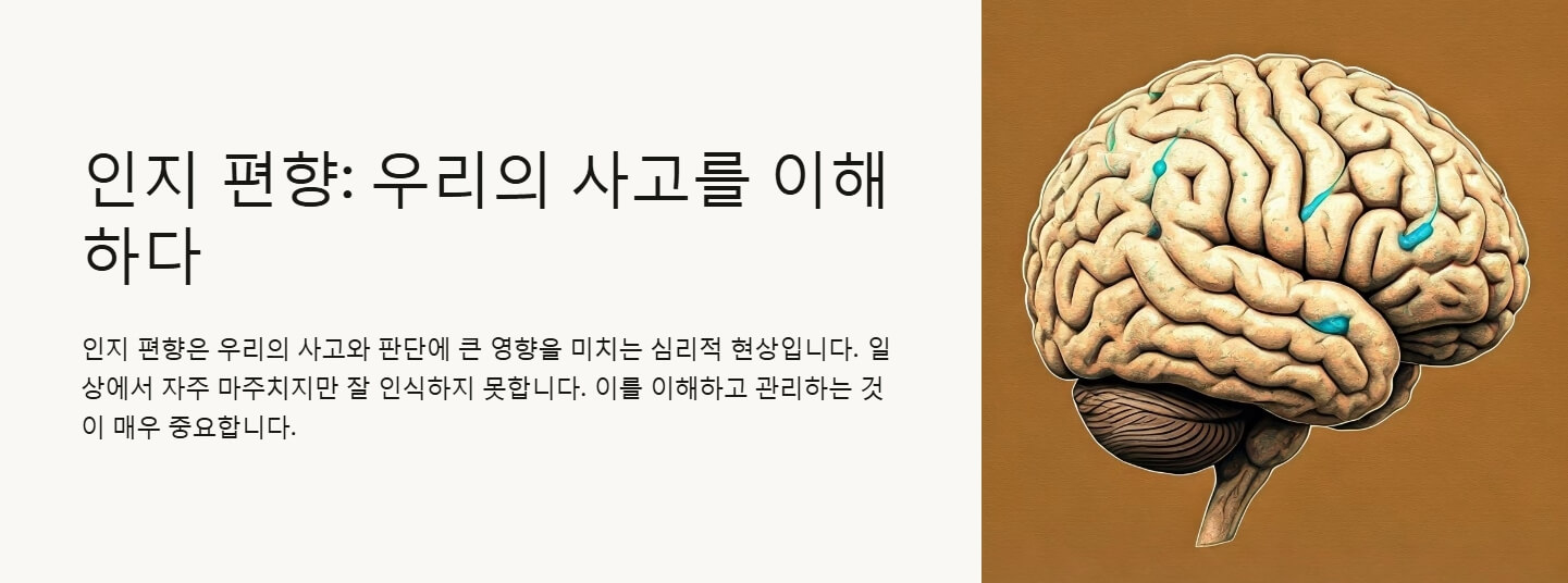 인지 편향