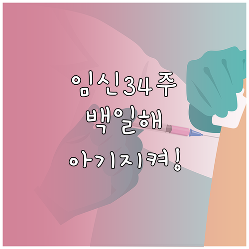 임신 34주 백일해 주사, 아기 지키..