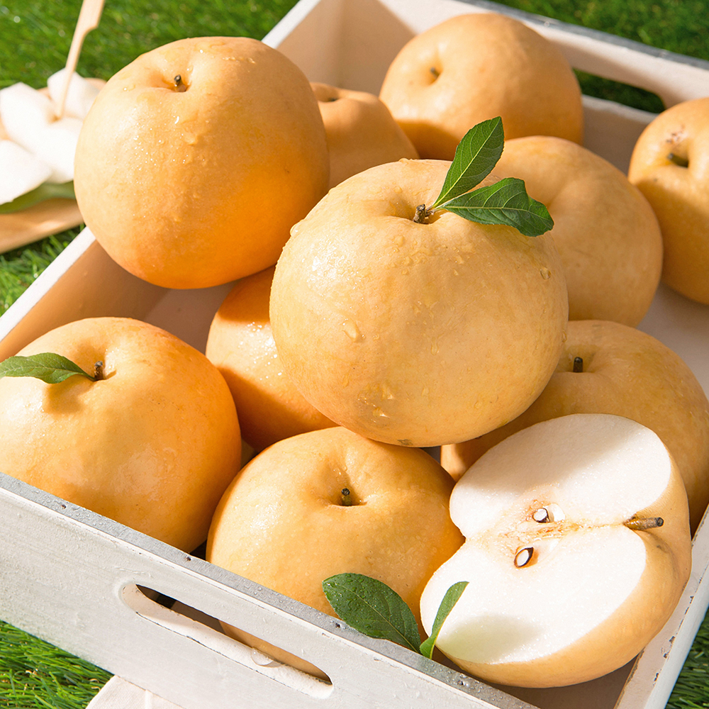 2025 청원생명축제&amp;#44; 가족 농촌체험