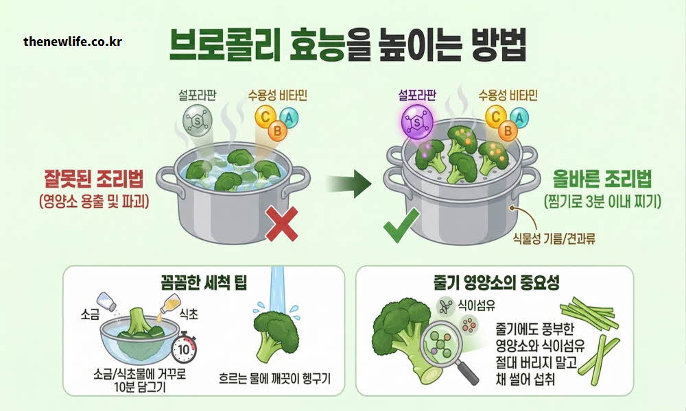 브로콜리 효능을 높이는 방법으로 조리법과 먹는 방법을 설명하는 이미지
