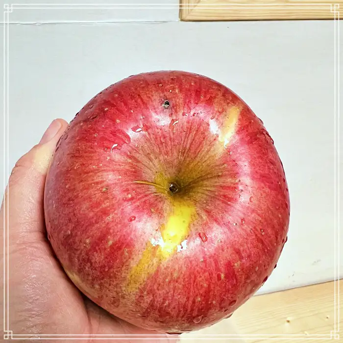 경북 문경 맛집 사과파이