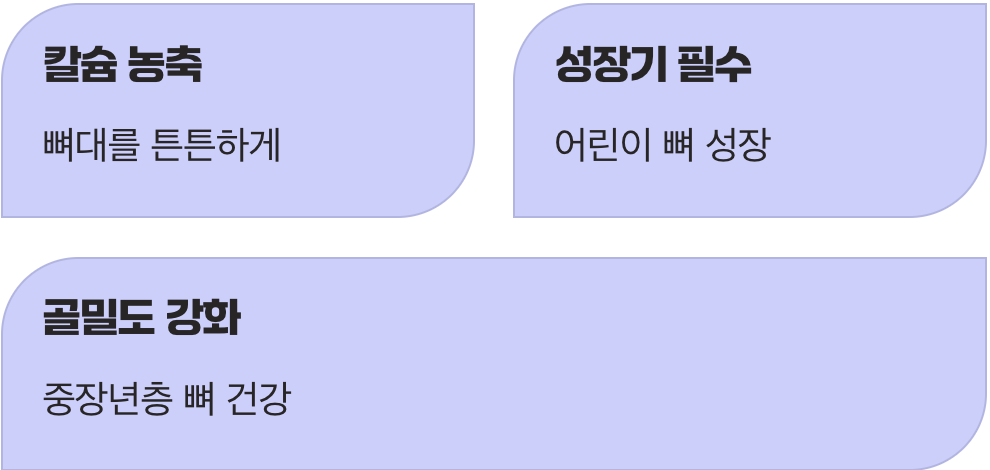 뼈 건강까지 챙기는 똑똑한 간식