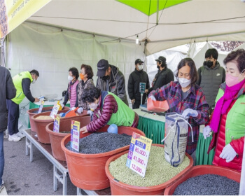 파주장단콩축제_5