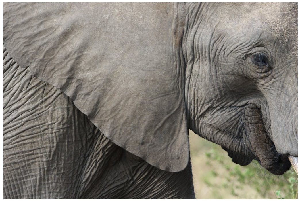 집에서 하는 주름 관리법