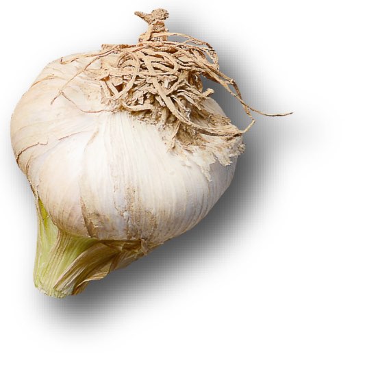 헷갈리는일반쓰레기