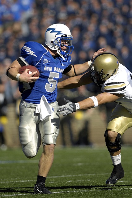 인기있는 스포츠 경기 및 선수 소개