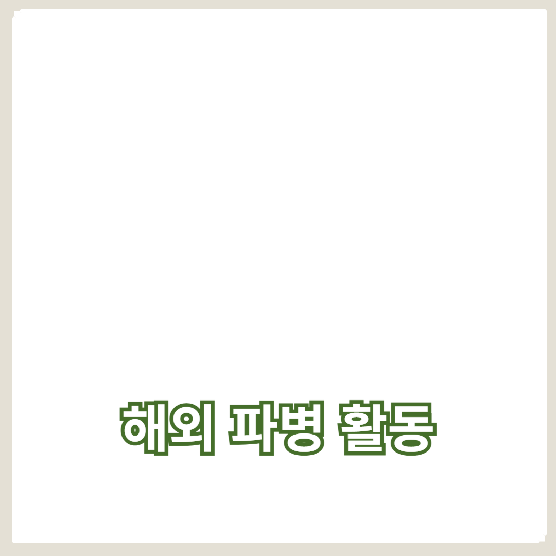 국제 안보와 전쟁 방지: 해외 파병 활동의 중요성