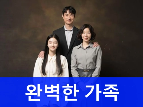 완벽한 가족 드라마