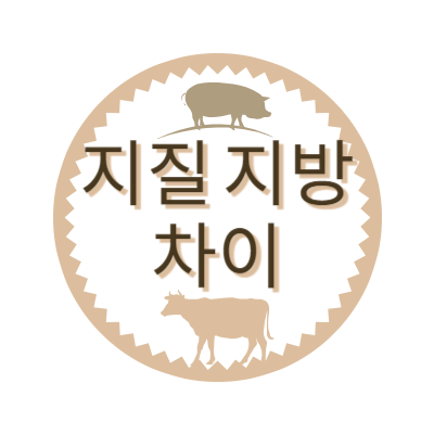 지질-지방-차이