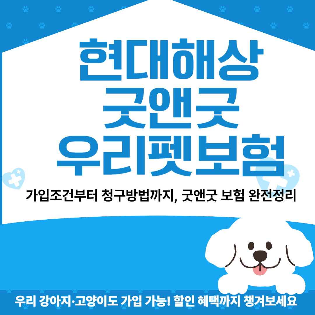 현대해상 굿앤굿 우리펫보험