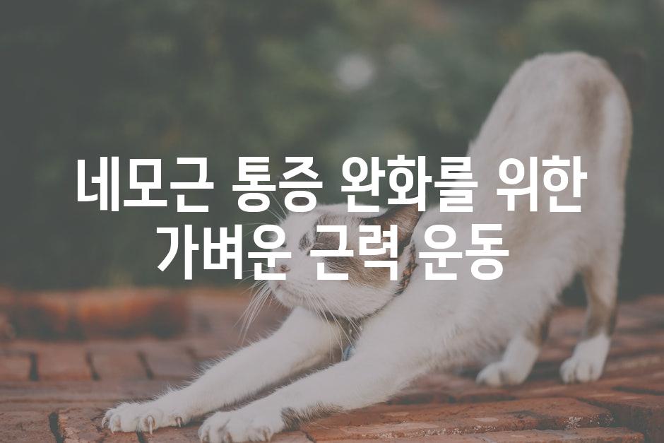 네모근 통증 완화를 위한 가벼운 근력 운동