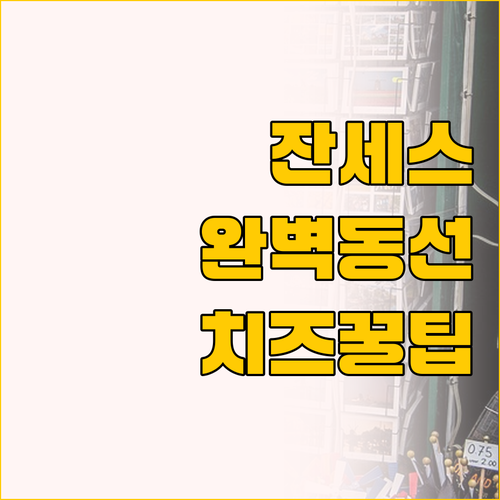 잔세스칸스 완벽 동선 공개, 치즈 공..