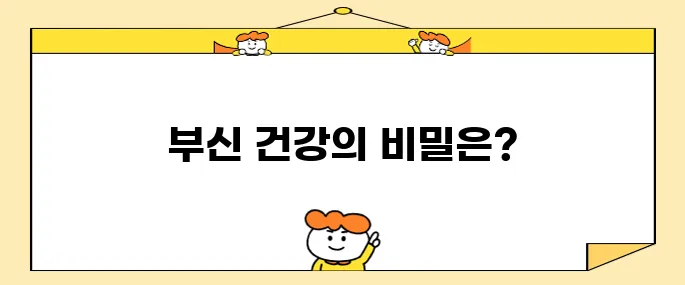 부신 건강을 유지하기 위한 꼭 필요한 점검 사항들입니다.