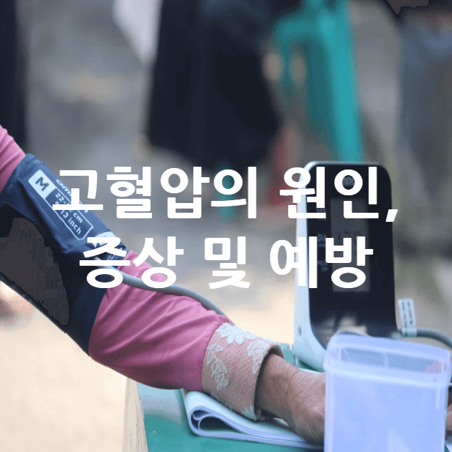고혈압의 원인&#44; 증상 및 예방