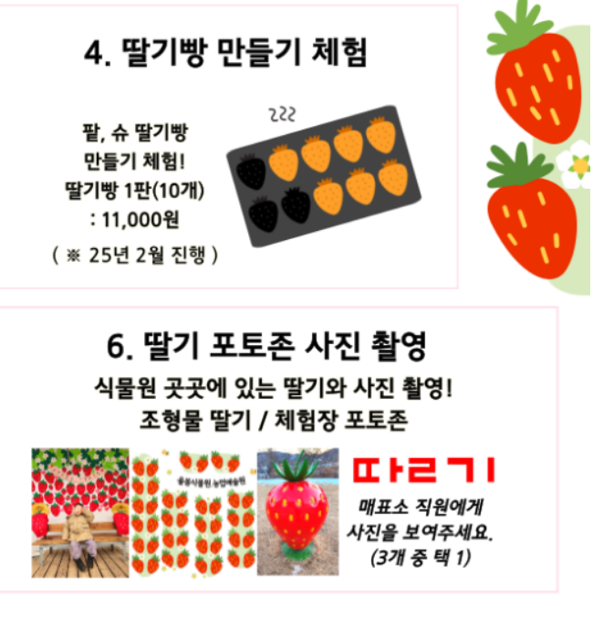 율봄식물원 딸기 체험 안내10