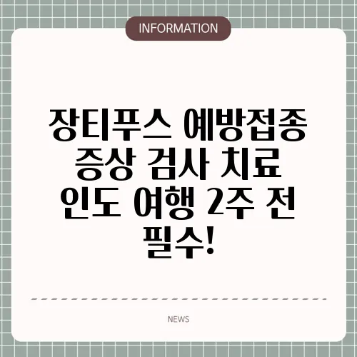 장티푸스 예방접종 증상 검사 치료 인도 여행 2주 전 필수!