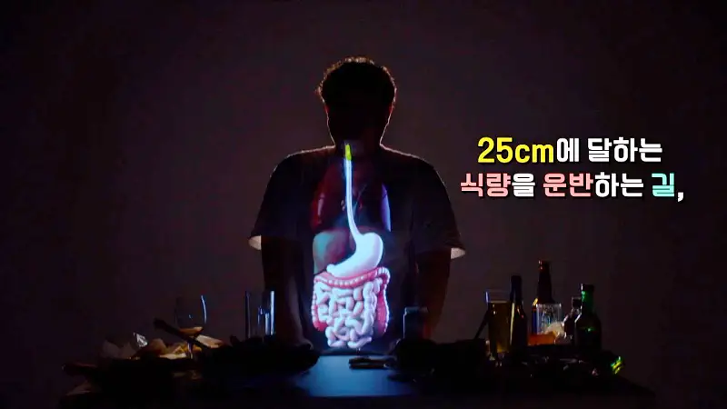 명의 타는 듯한 가슴 통증 식도가 보내는 SOS 역류성 식도염, 식도암 예방 방법 병원 추천 소개