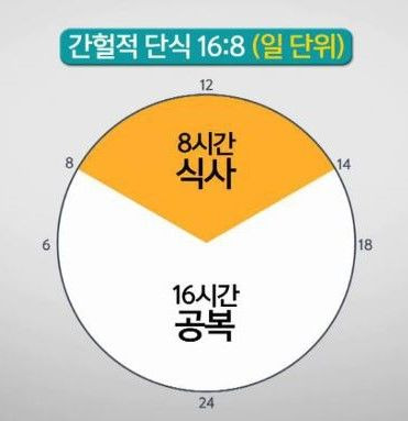 간헐적 단식