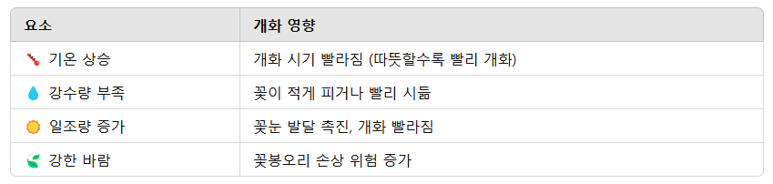 2025년 진달래 개화시기
