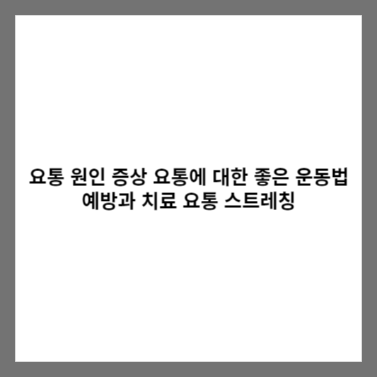 요통 원인 증상 요통에 대한 좋은 운동법 예방과 치료 요통 스트레칭