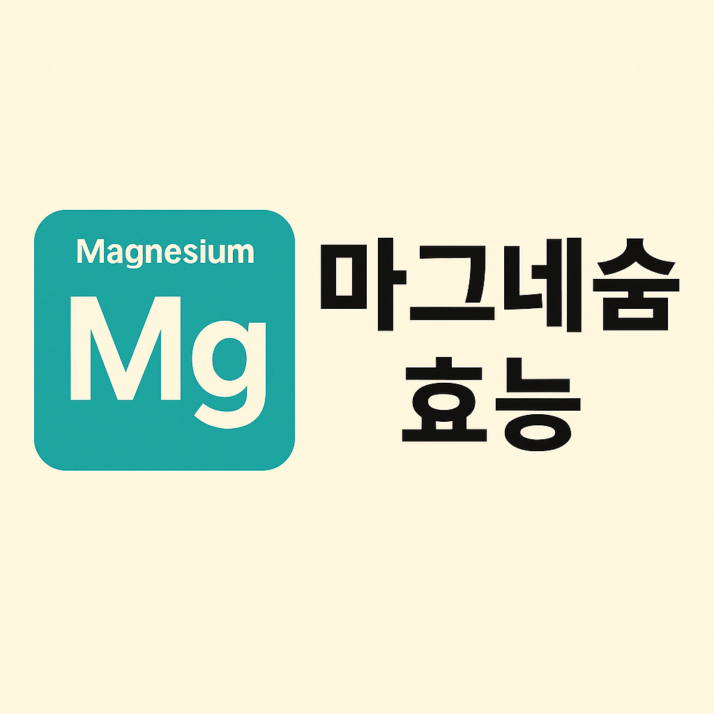 마그네슘 효능