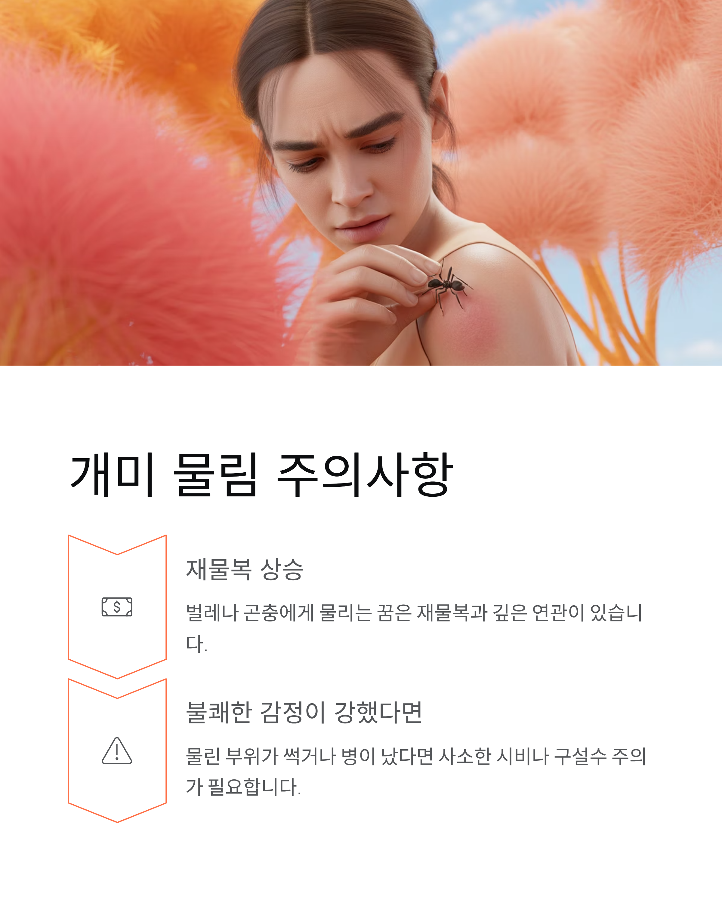 개미꿈 해몽, **개미 떼**가 몰려드는 꿈은 대박 징조? 재물운 핵심 정리!