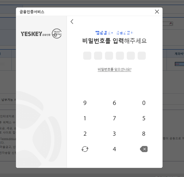 금융인증서-비밀번호-입력