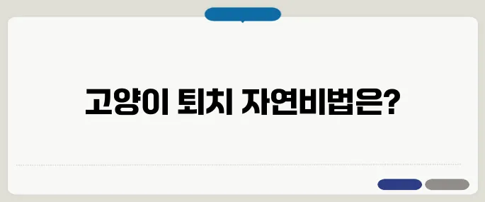 고양이가 싫어하는 냄새 정리 천연 퇴치제 만들기