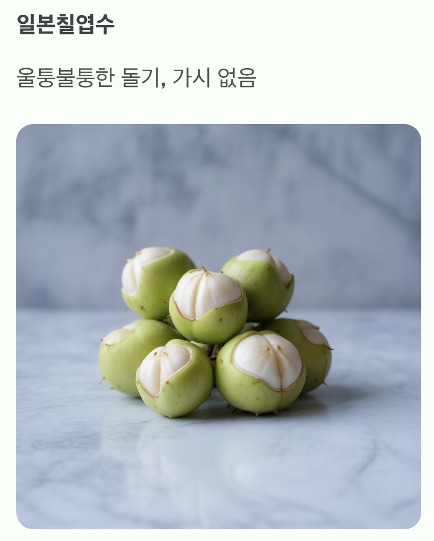 세 번째, 열매 껍질을 만져보세요