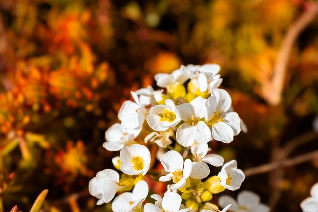 2026 청년근속인센티브 총정리 지원금·신청조건·변경사항 한눈에