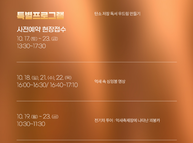 ▲ 제25회 하늘공원 서울억새축제 (출처 : 서울시)