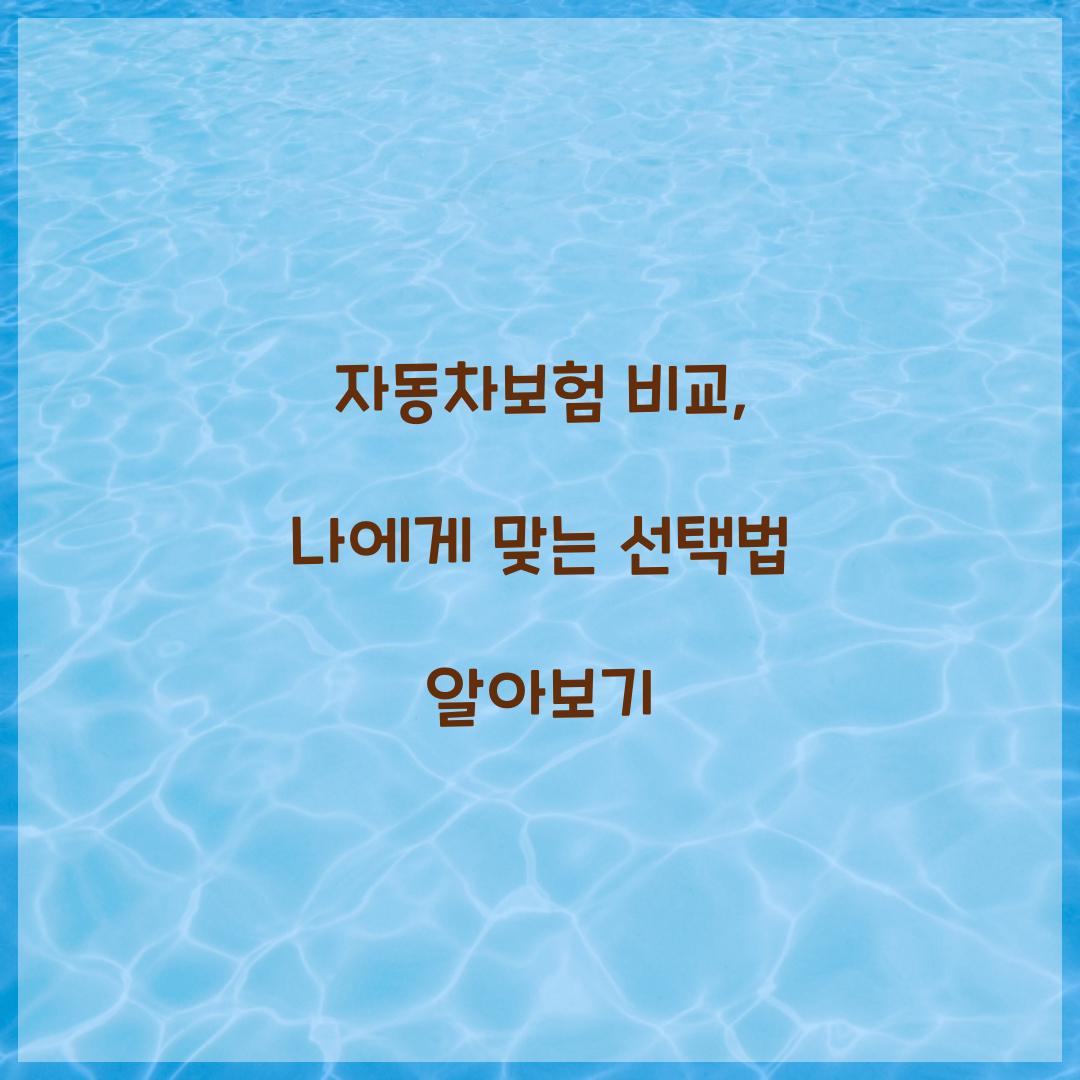 자동차보험 비교