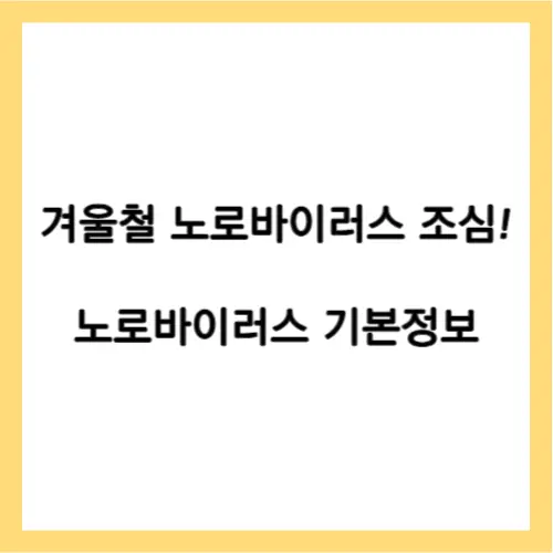 노로바이러스 기본정보