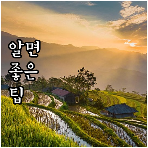 국토교통부 자동차리콜센터 활용법: 내