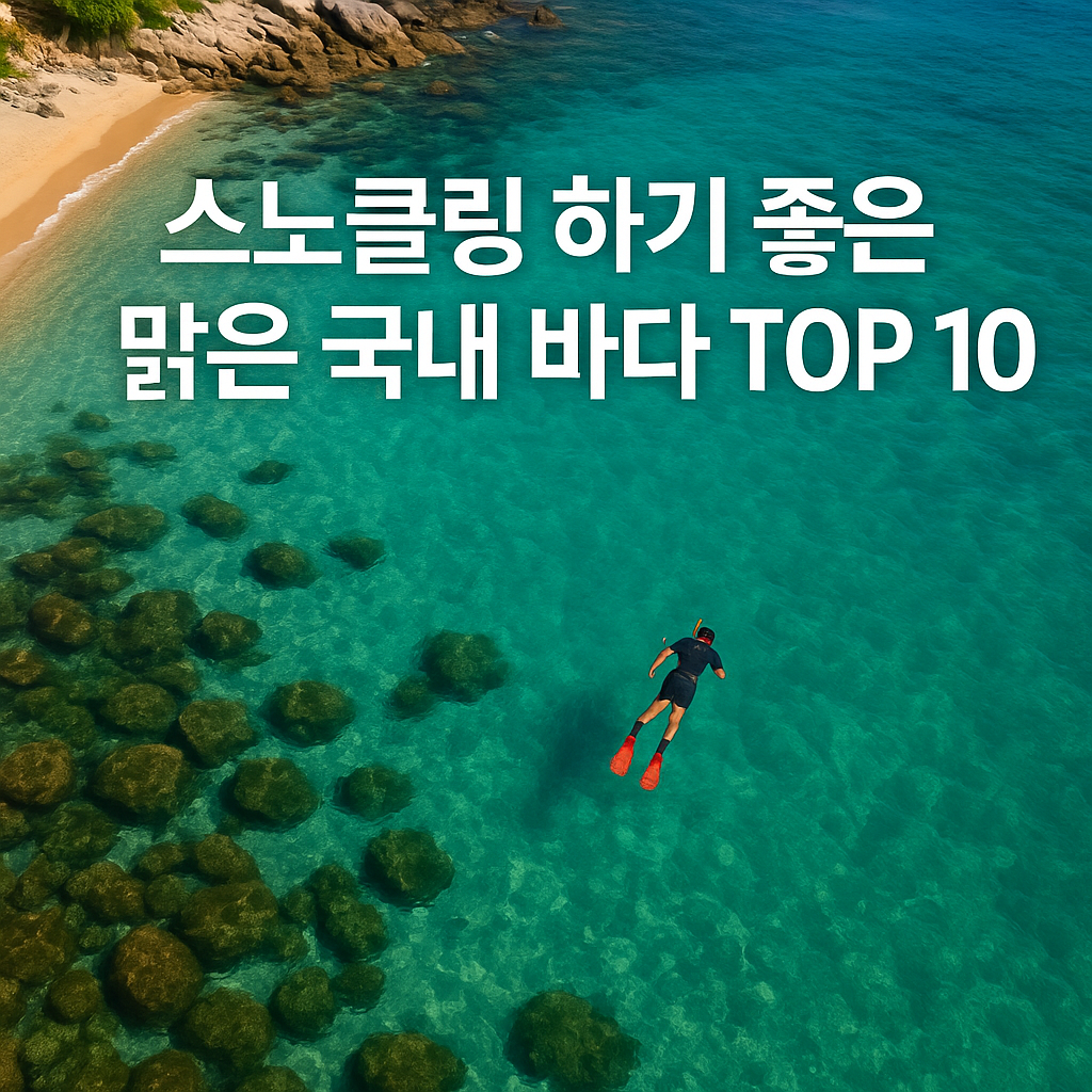 스노클링 하기 좋은 맑은 국내 바다